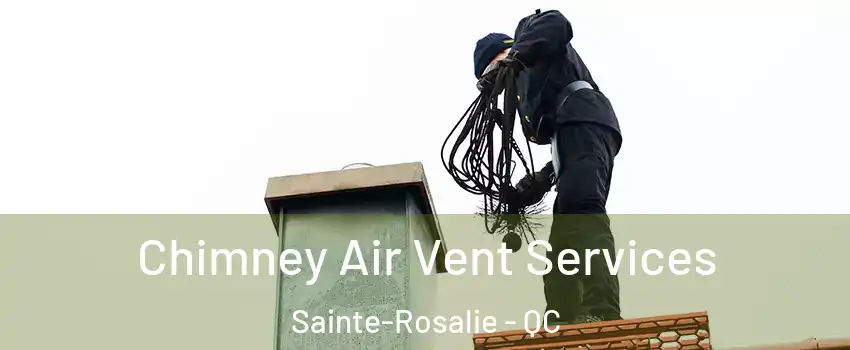  Chimney Air Vent Services Sainte-Rosalie - QC