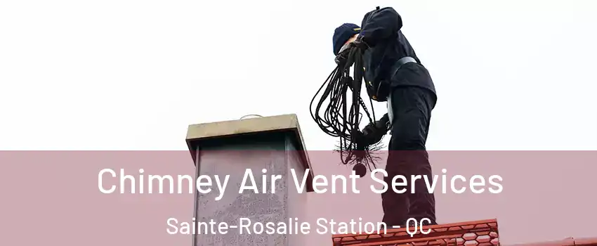  Chimney Air Vent Services Sainte-Rosalie Station - QC
