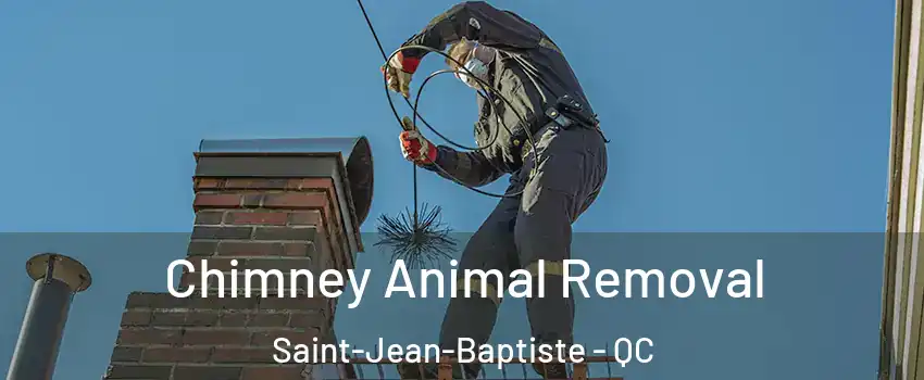 Chimney Animal Removal Saint-Jean-Baptiste - QC