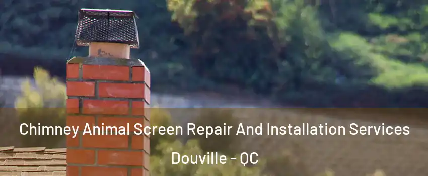  Chimney Animal Screen Repair And Installation Services Douville - QC