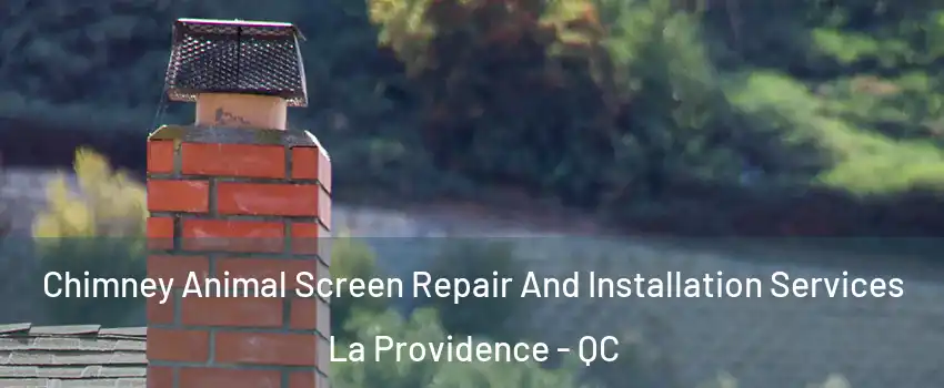  Chimney Animal Screen Repair And Installation Services La Providence - QC