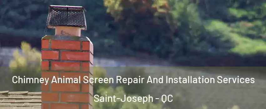  Chimney Animal Screen Repair And Installation Services Saint-Joseph - QC