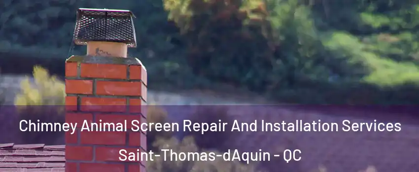  Chimney Animal Screen Repair And Installation Services Saint-Thomas-dAquin - QC