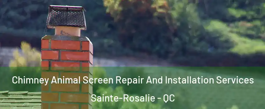  Chimney Animal Screen Repair And Installation Services Sainte-Rosalie - QC