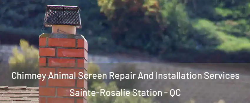  Chimney Animal Screen Repair And Installation Services Sainte-Rosalie Station - QC