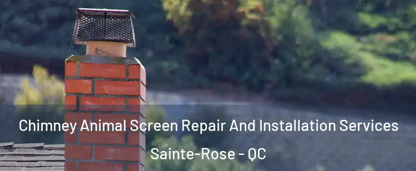  Chimney Animal Screen Repair And Installation Services Sainte-Rose - QC