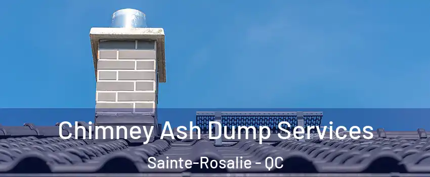  Chimney Ash Dump Services Sainte-Rosalie - QC