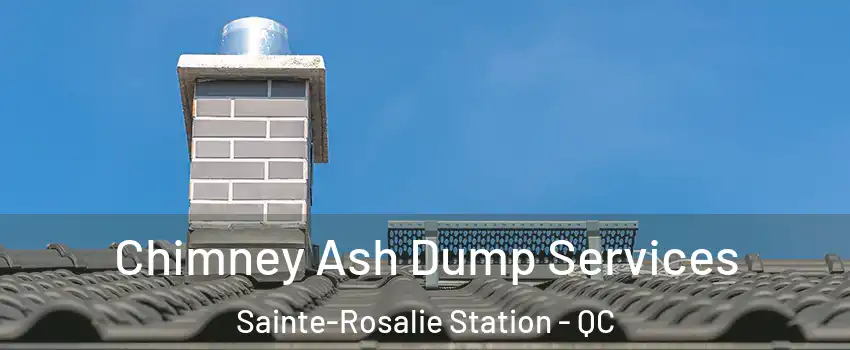  Chimney Ash Dump Services Sainte-Rosalie Station - QC