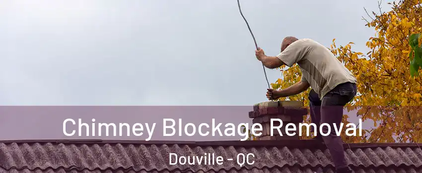  Chimney Blockage Removal Douville - QC