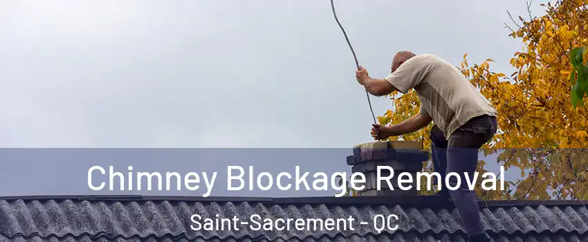  Chimney Blockage Removal Saint-Sacrement - QC