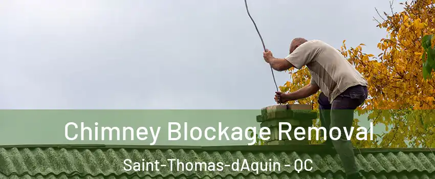  Chimney Blockage Removal Saint-Thomas-dAquin - QC