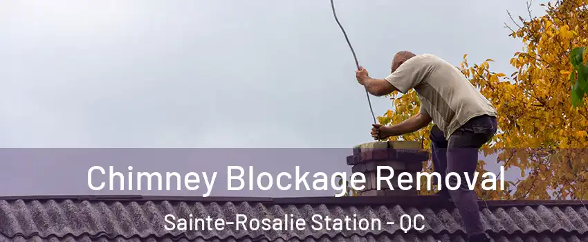 Chimney Blockage Removal Sainte-Rosalie Station - QC