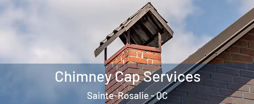  Chimney Cap Services Sainte-Rosalie - QC
