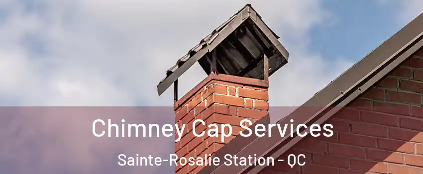  Chimney Cap Services Sainte-Rosalie Station - QC