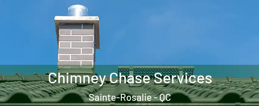  Chimney Chase Services Sainte-Rosalie - QC