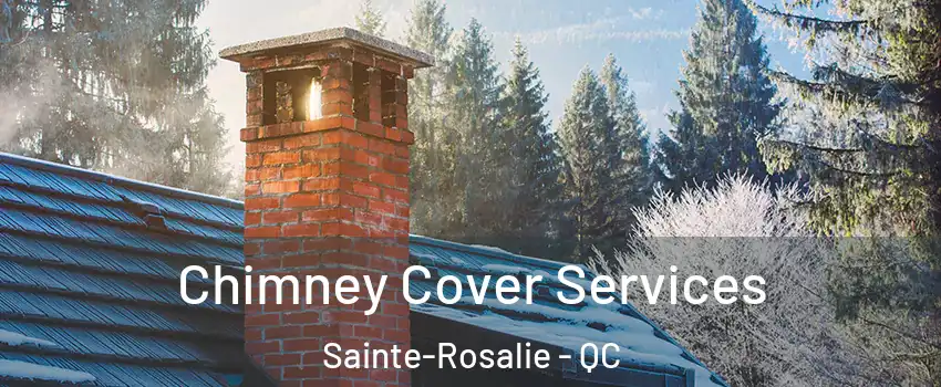  Chimney Cover Services Sainte-Rosalie - QC
