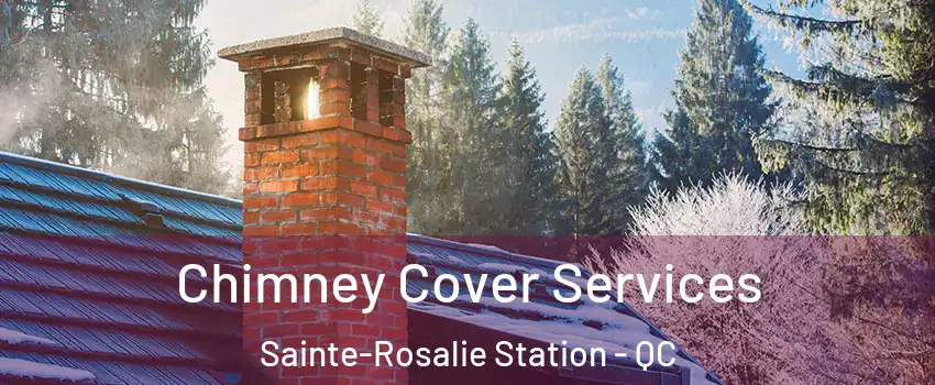  Chimney Cover Services Sainte-Rosalie Station - QC