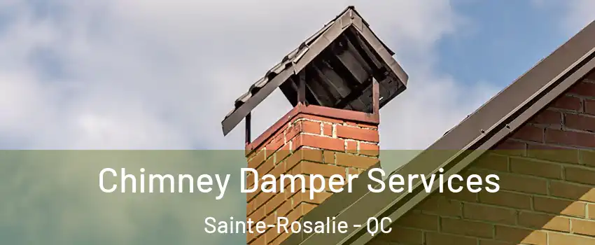  Chimney Damper Services Sainte-Rosalie - QC