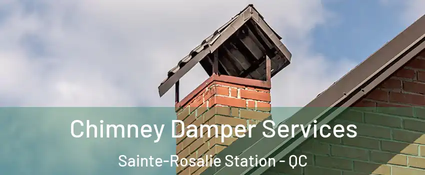  Chimney Damper Services Sainte-Rosalie Station - QC