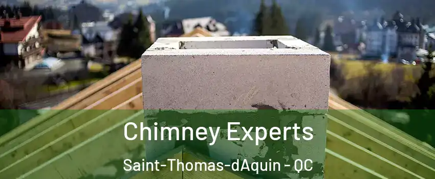  Chimney Experts Saint-Thomas-dAquin - QC