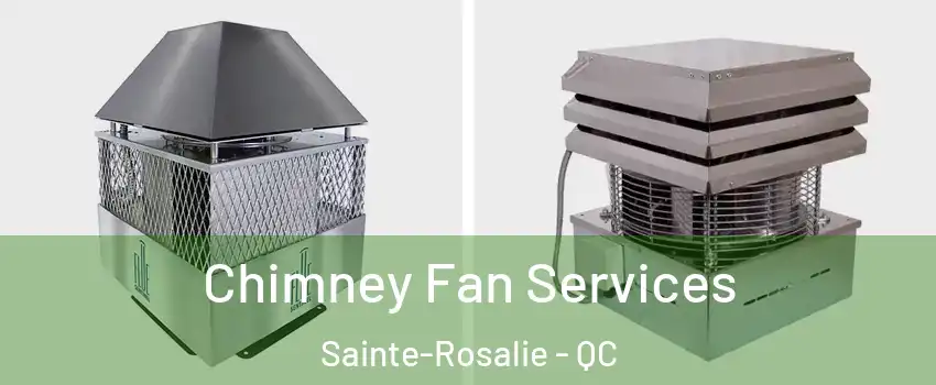  Chimney Fan Services Sainte-Rosalie - QC