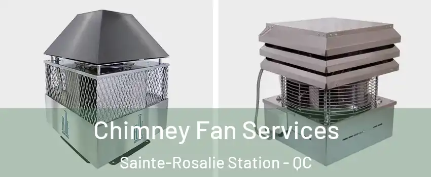  Chimney Fan Services Sainte-Rosalie Station - QC