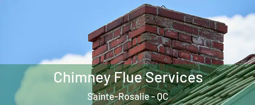  Chimney Flue Services Sainte-Rosalie - QC