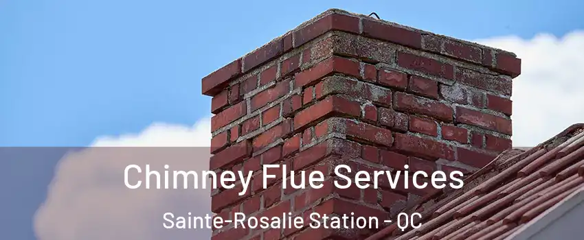  Chimney Flue Services Sainte-Rosalie Station - QC