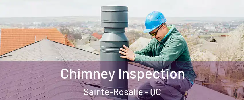  Chimney Inspection Sainte-Rosalie - QC
