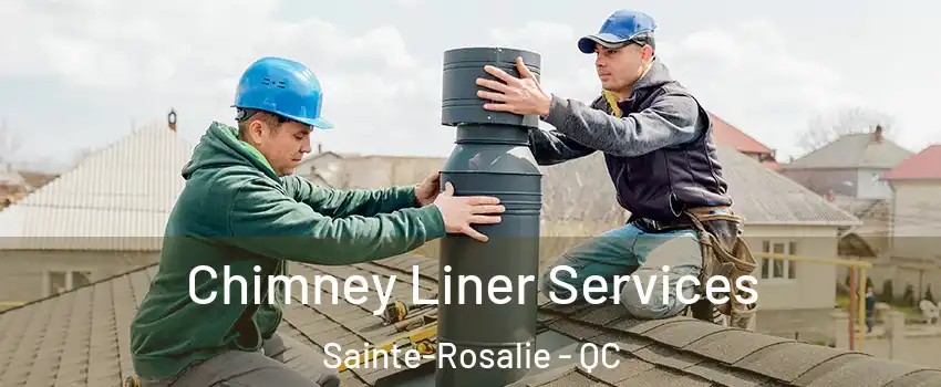  Chimney Liner Services Sainte-Rosalie - QC