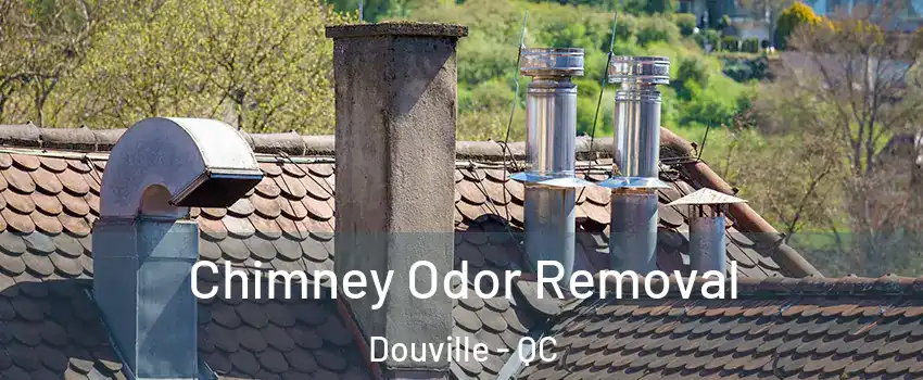  Chimney Odor Removal Douville - QC