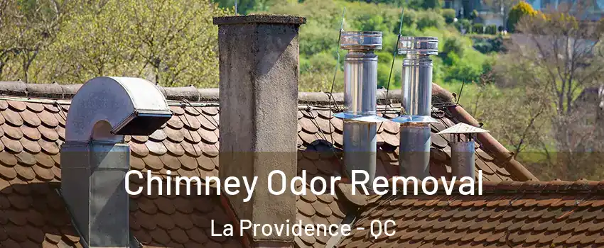  Chimney Odor Removal La Providence - QC