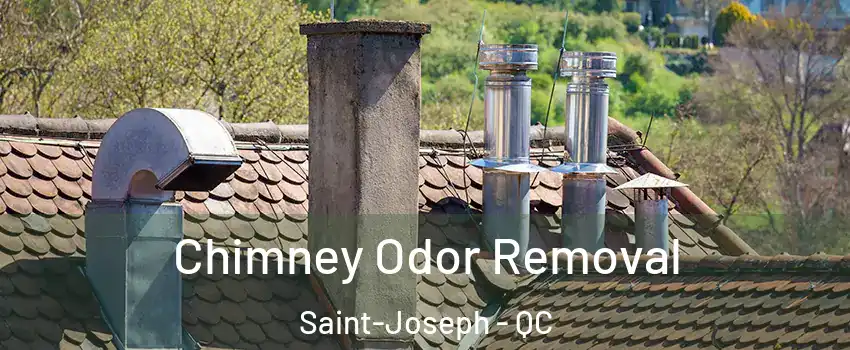  Chimney Odor Removal Saint-Joseph - QC