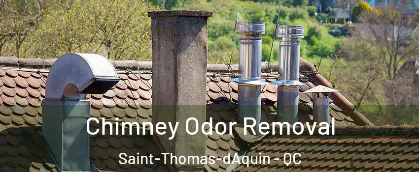  Chimney Odor Removal Saint-Thomas-dAquin - QC