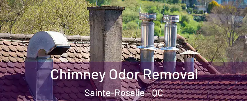  Chimney Odor Removal Sainte-Rosalie - QC