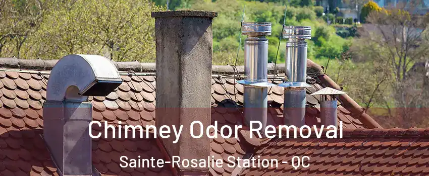  Chimney Odor Removal Sainte-Rosalie Station - QC