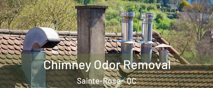  Chimney Odor Removal Sainte-Rose - QC