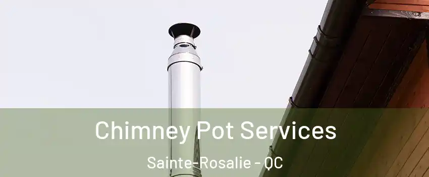  Chimney Pot Services Sainte-Rosalie - QC