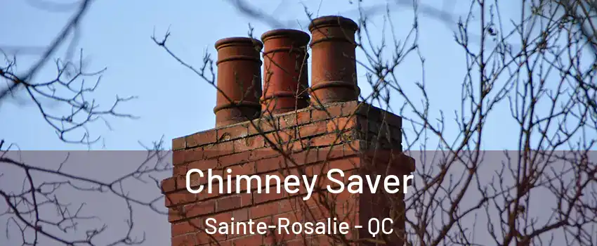  Chimney Saver Sainte-Rosalie - QC