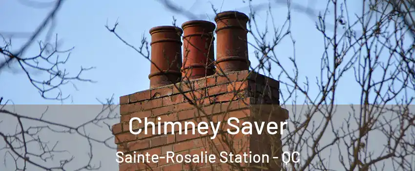  Chimney Saver Sainte-Rosalie Station - QC
