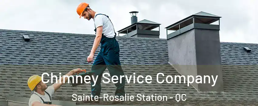  Chimney Service Company Sainte-Rosalie Station - QC
