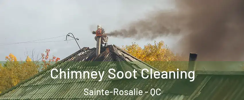  Chimney Soot Cleaning Sainte-Rosalie - QC