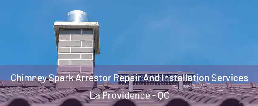  Chimney Spark Arrestor Repair And Installation Services La Providence - QC