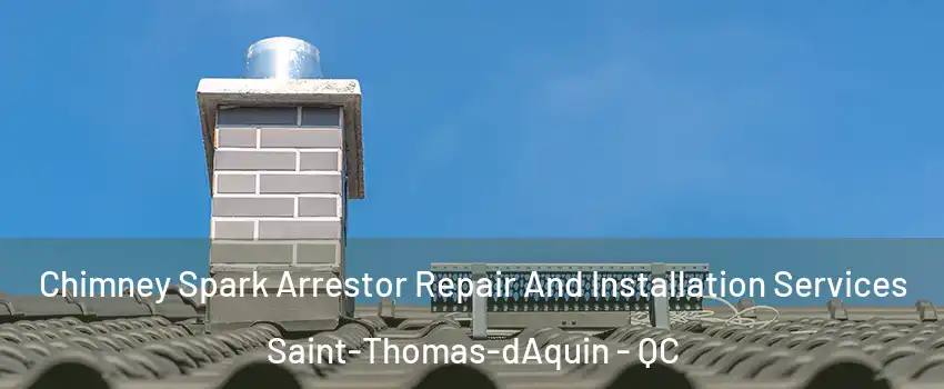  Chimney Spark Arrestor Repair And Installation Services Saint-Thomas-dAquin - QC