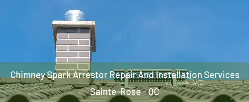  Chimney Spark Arrestor Repair And Installation Services Sainte-Rose - QC
