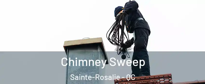  Chimney Sweep Sainte-Rosalie - QC
