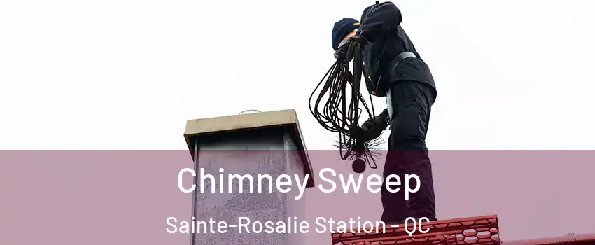 Chimney Sweep Sainte-Rosalie Station - QC