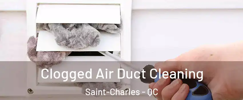  Clogged Air Duct Cleaning Saint-Charles - QC