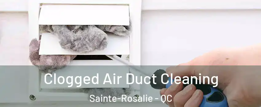  Clogged Air Duct Cleaning Sainte-Rosalie - QC