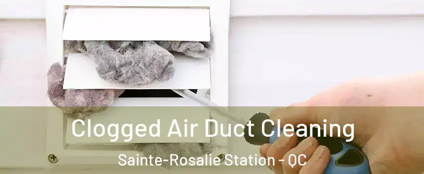  Clogged Air Duct Cleaning Sainte-Rosalie Station - QC